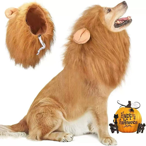 Front image of Halloween Lion Mane Dog Costume - Pets Villa. 