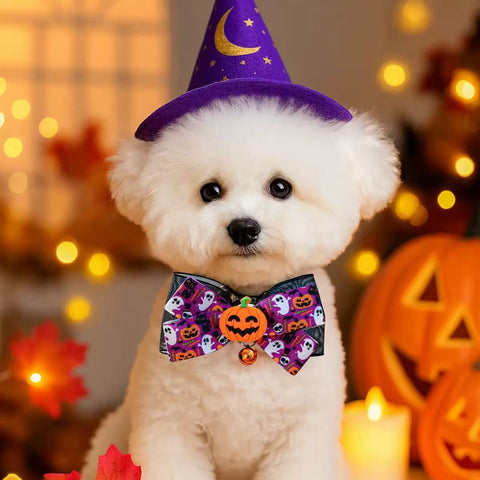 Image of a dog with pumpkin Halloween Pet Collar with Bell Assorted - Pets Villa. 