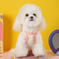 Image of a dog wearing the pink variant of Heart Bow Summer Pet Sweater - Pets Villa. 