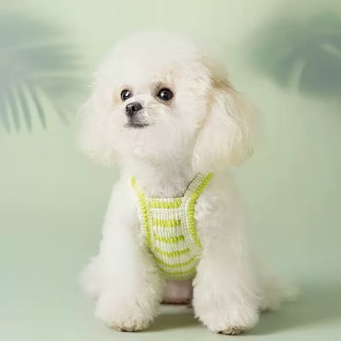 Dog wearing the green variant of Hello Baby Striped Pet Vest - Pets Villa.