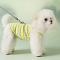 Side image of a dog wearing the green variant of Hello Baby Striped Pet Vest  - Pets Villa. 