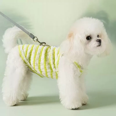 Side image of a dog wearing the green variant of Hello Baby Striped Pet Vest  - Pets Villa. 