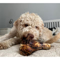 JR Ostrich Knuckle Bone