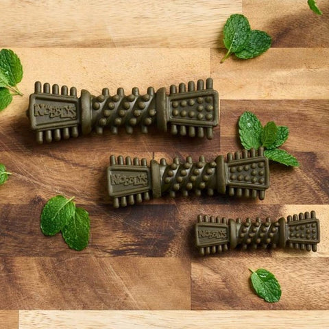 Front image of NOBBLYS Mint Dental Dog Chew Tough Brush 1pc - Pets Villa. 