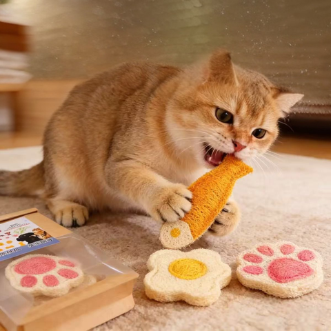 Image of cat playing with Natural Loofah Cat Dental Toy (3pcs) - Pets Villa.
