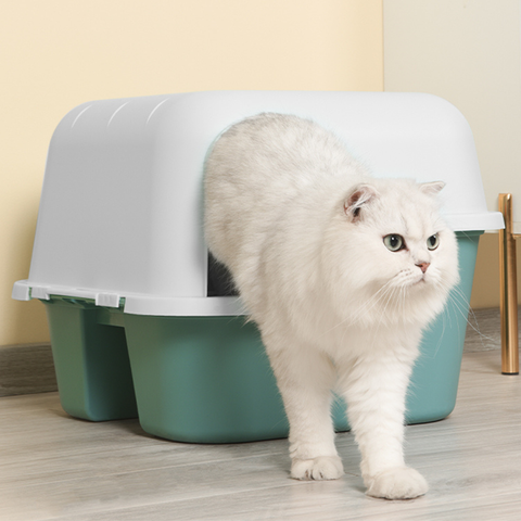 Image of a cat in PAKEWAY Candy Cat Enclosed Litter Tray - Pets Villa. 
