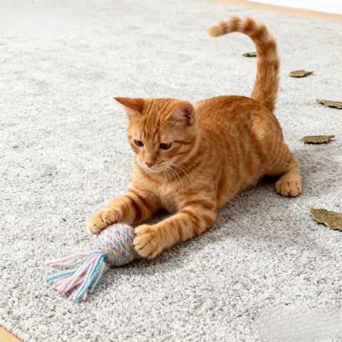 Image of a kitten playing with PETS VILLA Yarn Catnip Ball Assorted - Pets Villa. 