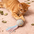 Image of a ginger cat playing with PETS VILLA Yarn Catnip Ball Assorted - Pets Villa. 