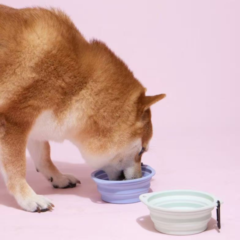 Product image of PURLAB Game Pet Travel Bowl 350ml  - Pets Villa. 