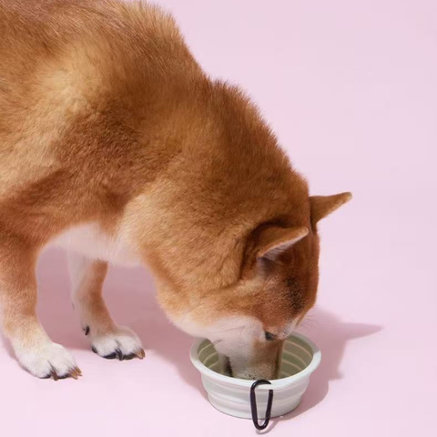 Product image of PURLAB Game Pet Travel Bowl 350ml - Pets Villa. 