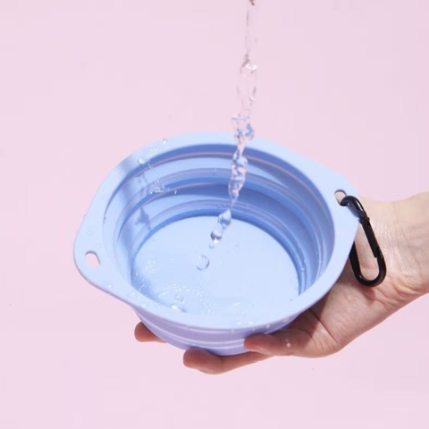 Image of PURLAB Game Pet Travel Bowl 350ml  being used for water - Pets Villa. 