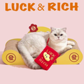 Front image of PURLAB Golden Treasure Scratch Board - Pets Villa.