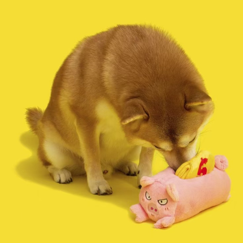 Image of a dog with PURLAB Piggy Bank Snuffle Treat Pet Toy - Pets Villa. 