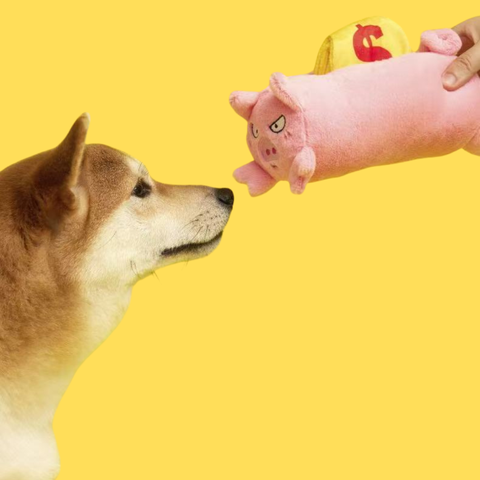 Product image of PURLAB Piggy Bank Snuffle Treat Pet Toy - Pets Villa. 