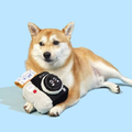 Product image of PURLAB Polaroid Pet Snuffle Toy  - Pets Villa. 