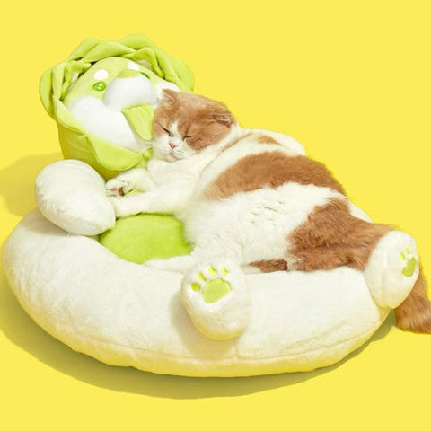 Side image of a cat sleeping on PURLAB Vegetable Dog Pet Bed - Pets Villa. 