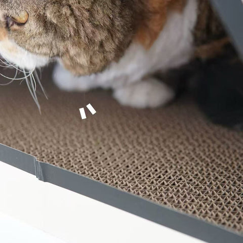 Scratcher image of PURROOM Tent Box Cat Scratcher - Pets Villa. 