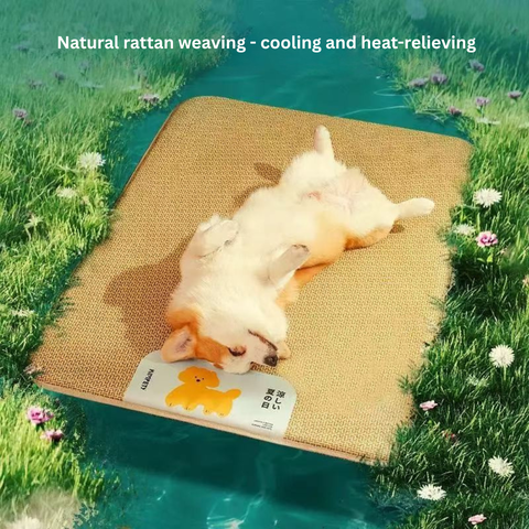 Image of a dog using Rattan Cooling Pet Mat - Pets Villa. 