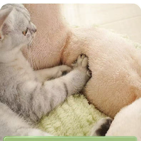 Close up image of Soft Cactus Cat Nest Bed - Pets Villa. 