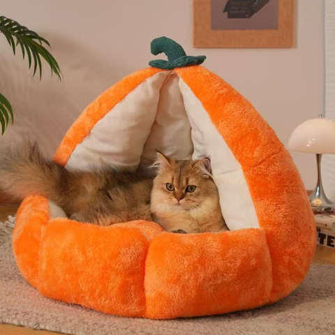 Product image of Soft Pumpkin Pet Bed - Pets Villa. 