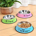 Image of 3 variants of Stainless Steel Cartoon Colourful Pet Bowl - Pets Villa. 
