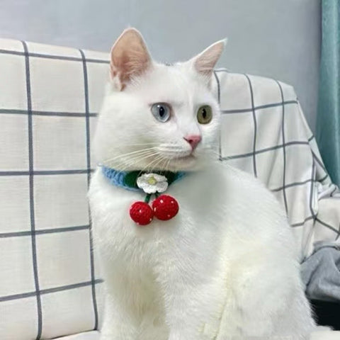 Image of a cat wearing the blue variant of Strawberry Woven Pet Collar - Pets Villa.
