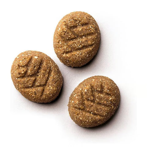 Product image of WAGG Peanut Butter and Banana Cookie Bites Dog Treats 125g - Pets Villa. 