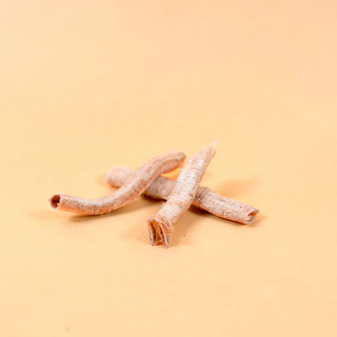 Product image of WAITA Freeze Dried Goose Trachea 25g - Pets Villa.