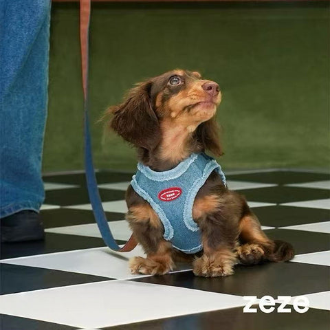 Front image of ZEZE Denim Pet Harness and Lead - Pets Villa. 