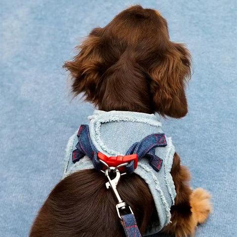 Image of clip detail of ZEZE Denim Pet Harness and Lead - Pets Villa. 