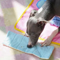 Image of a dog using ZEZE Enjoy It Bath Snuffle Pet Mat - Pets Villa.