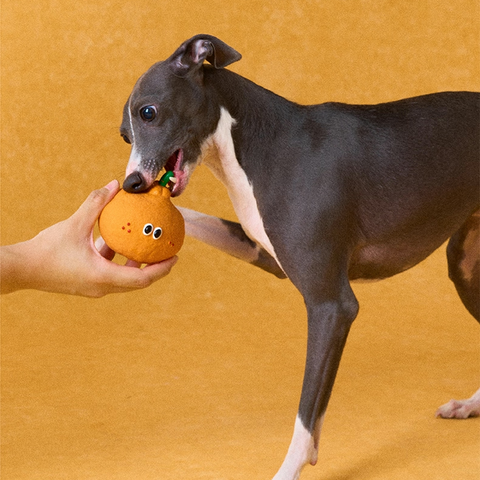 Orange variant image of ZEZE Fruit and Vegetable Latex Dog Toys - Pets Villa. 