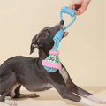Blue variant image of ZEZE Handheld Lantern Knot Dog Toy  - Pets Villa. 
