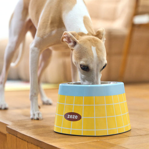 Front image of ZEZE Retro Stainless Steel Pet Bowl - Pets Villa. 