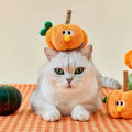 Product image of ZEZE Silvervine Stick and Crinkle Paper Pumpkin Cat Toy  - Pets Villa. 