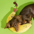 Image of dog on ZEZE Softer Banana Pet Pillow - Pets Villa.