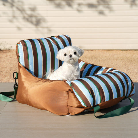 Small dog in ZEZE Striped Pet Car Bed - Pets Villa. 