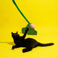 Cat playing with ZEZE Tulip Cat Teaser Wand - Pets Villa. 