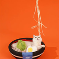 Product image of ZEZE Yummy Ramen Bowl Cat Scratcher and Bed - Pets Villa. 