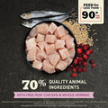 ACANA First Feast kitten food rich in omega-3, DHA, EPA for brain and vision development.