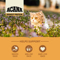 Close-up of ACANA Wild Prairie Cat kibble – nutrient-rich dry food texture
