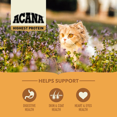 Close-up of ACANA Wild Prairie Cat kibble – nutrient-rich dry food texture