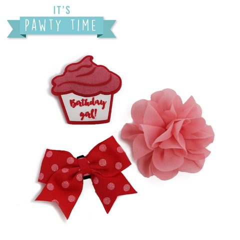 ANCOL It’s Pawty Time Collar Accessories – Festive Birthday Collar Decorations for Pets