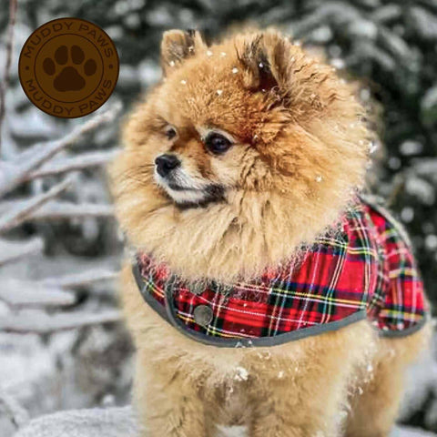 ANCOL Muddy Paws Red Tartan Dog Coat with reflective edging and adjustable straps