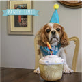 ANCOL Pawty Cupcake Dog Toy – Birthday-themed squeaky toy with rope candle, 14cm tall