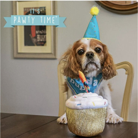 ANCOL Pawty Cupcake Dog Toy – Birthday-themed squeaky toy with rope candle, 14cm tall