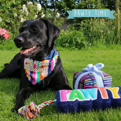 ANCOL Pet Birthday Bandana - Pets Villa