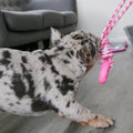 ANCOL Small Bite Rope and Rings (Random) - Pets Villa