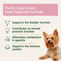 ANIFORTE Bladder Formula Powder 100g For Incontence in Dogs - Pets Villa