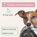 ANIFORTE Bladder Formula Powder 100g For Incontence in Dogs - Pets Villa